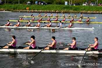 ‘Mooiste roeiwedstrijd van het land’ wordt dit weekend geroeid in Gent: “Iets als de Watersportbaan is zeldzaam in Europa”