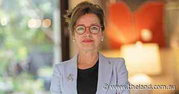 Bushfire smoke worse for health than pollution, Australian-led study finds