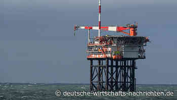 Boom verpasst? Die Öl- und Gasindustrie in Trumps zweiter Amtszeit