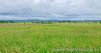 Versatile northern grazing country with significant cultivation potential