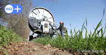 Trockenheit in Hannover spitzt sich zu – Region bereitet Bewässerungsverbot vor