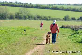 Dog walkers urged to clean up this Easter amid livestock concerns
