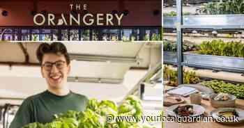 The new London restaurant with a chef's table that's surrounded by a farm