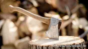 Man slaat hond dood met bijl en gooit dier in afvalcontainer: “Hij wilde zijn partner choqueren”