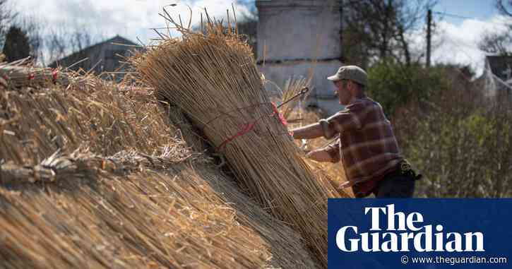 Country diary: Back to meet an old friend – my first thatch | Tom Allan