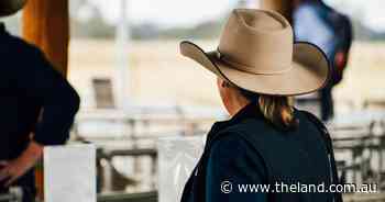 Two Chicks, No Rooster: Ditch the layover, find the landing place