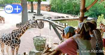 25 Jahre Sambesi im Zoo Hannover – und die Zukunft mit neuen Tieren ist im Bau