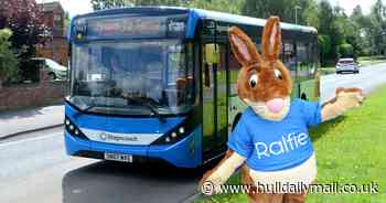 Why you might spot Ralfie the Rabbit at Hull Paragon Interchange