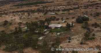 Creek system and buffel pastures make Dairy Creek station ideal for cattle