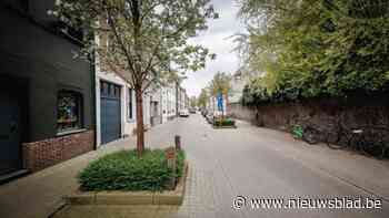 Al 84 gezinnen in Mechelse wijk Arsenaal tonen interesse voor collectieve renovatie: “Het project begint echt te leven”