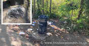 Barbecue ban for park after fights, rubbish and defecation in bushes