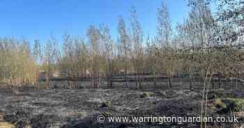 Pictures show devastating aftermath of suspected arson attack at nature reserve