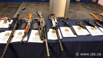 Winnipeg police destroyed seized guns that judge ordered to auction, lawsuit alleges