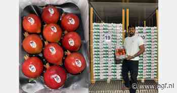 "Indiase granaatappeloogst op zelfde niveau als vorig jaar"