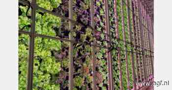 "Dit is het enige project van zijn soort in Mexico"