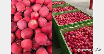 Vorst baart Poolse appelexporteurs zorgen