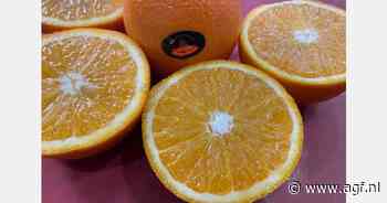 "Wereldmarkten hebben geen andere keuze dan hogere citrusprijzen te accepteren"