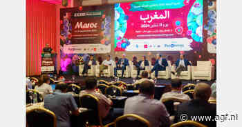 Grote opkomst blauwe bessenseminar in Marokko