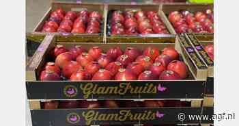 "Na moeilijk citrusseizoen popelen we om te beginnen met steenfruit en watermeloenen"