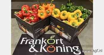 "Paprikavolumes komen op het juiste moment lekker op gang"