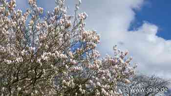 Wochenhoroskop: Darauf musst du dich vom 07.4 bis 13.4 gefasst machen