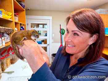 Ottawa Cottage & Backyard Show returns