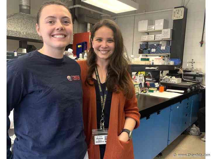 Neurosurgeon transforming brain tumour treatment path for Kingston patients