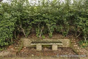 Morning Notes for April 10, 2025