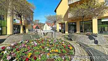 Nagolds Innenstadt: Im Nordosten schlummert Potenzial