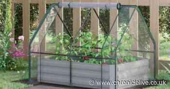 Grow plants and veg all year round with raised garden bed and mini greenhouse