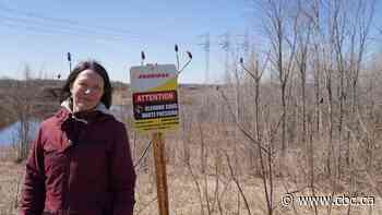 Trump threats revive push for pipelines. Is Quebec on board?