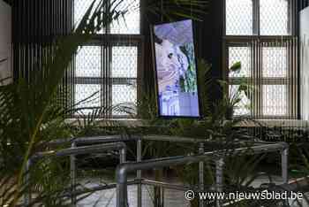 CC De Steiger gaat voor tweede keer op City Trip