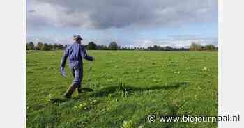 ‘Maximaal Weiden: Grashoogtemeter in actie voor 93% eiwit van eigen land’