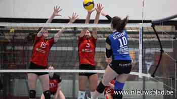 Zandhoven zoekt inwoners die hun stem willen laten horen in adviesraden