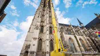 Groep Maes zoekt volk