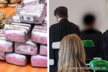 Chinese bende smokkelde 2,5 ton drugs via postpakketten naar België: kopstuk krijgt 8 jaar cel en moet 4,5 miljoen euro terugbetalen