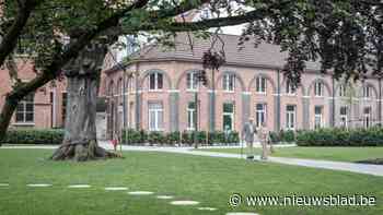 Mechels Huis van het Kind bestaat tien jaar: “Ouders die we vroeger met hun kleuter hielpen, komen nu met hun puber”