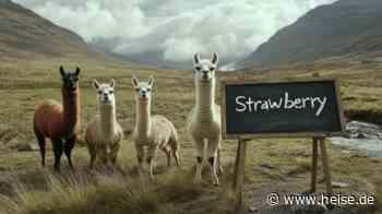 LLMs von Meta: Die vierte Llama-Herde ist angekommen