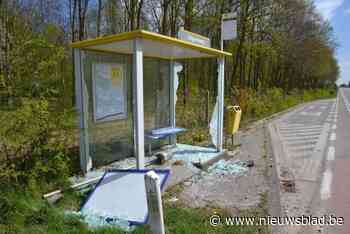 Vandalenstreken in Gooik: “Verschillende bushokjes werden gevandaliseerd”