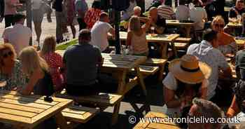 The 'handy' beer garden outside Newcastle pub in perfect sun trap location
