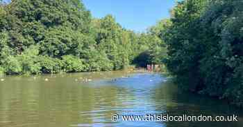 Mixed swimming pond on Hampstead Heath to reopen for summer season