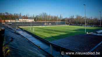 “Wel liefst momenteel blank, geen allochtonen”: voetbalclub Nielse SV ontslaat trainer na racistische post om spelers te ronselen