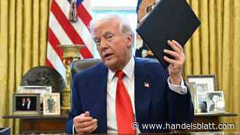 Handelskrieg: Rendite von mehr als 2000 Prozent in einer Stunde – Wer von Trumps Zollrückzieher profitiert