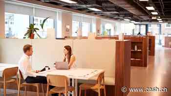 Mehr Firmengründungen im März