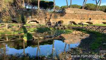 Dal parco degli Acquedotti al parco della Madonnetta: sempre più romani chiedono aiuto al FAI