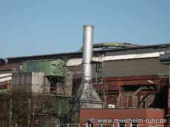 Gesundheit und Luftschadstoffe