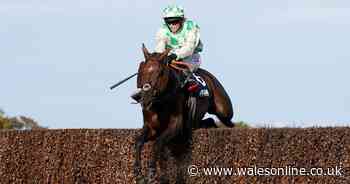 Celebre D'Allen's cause of death made public after tragic Grand National incident