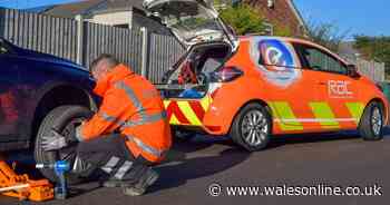 RAC warns drivers face £600 bills for these common and expensive issues