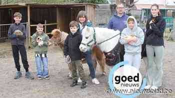 Kinderen vinden rust tussen de dieren op zorgboerderij