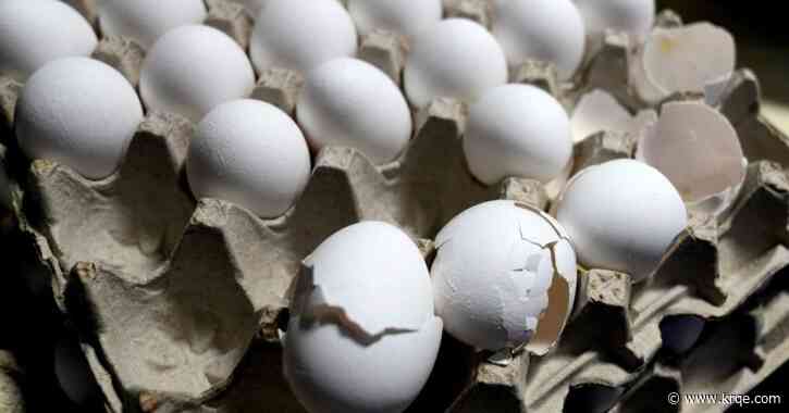 Egg prices jump to record high despite Trump's predictions and bird flu slowing